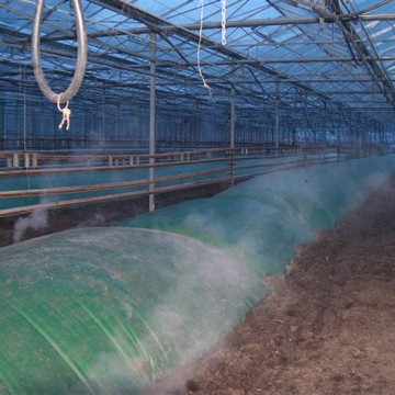 Vaporex steam foil