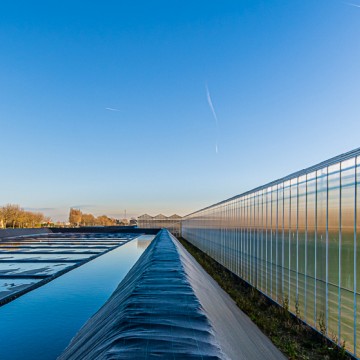 Waterbassins met semi gesloten anti-alg zeilen, Wervershoof