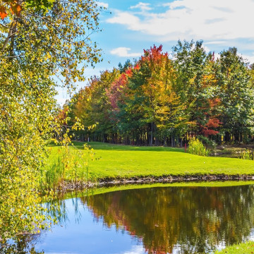 Waterbassins voor golfbanen
