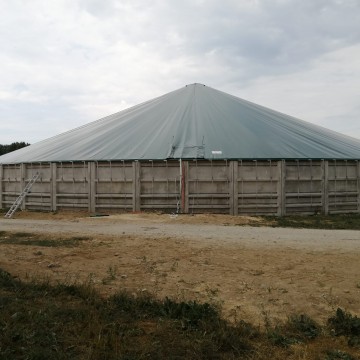 Spankap mestsilo, Estland