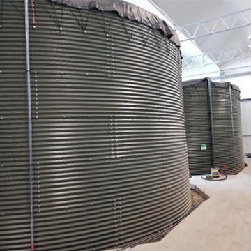 Watersilo&rsquo;s Duijvestijn Tomaten